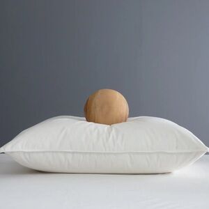 NWOT QUINCE Premium Down Pillow Medium Standard 9058